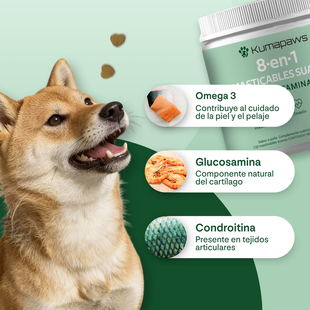 Multivitaminas masticables blandas 8 en 1 KumaPaws